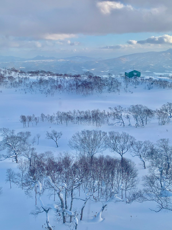 Yes Hokkaido Real Estate