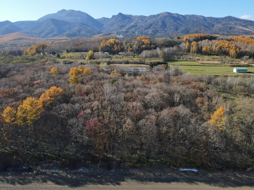 FOREST ESTATE FURANO