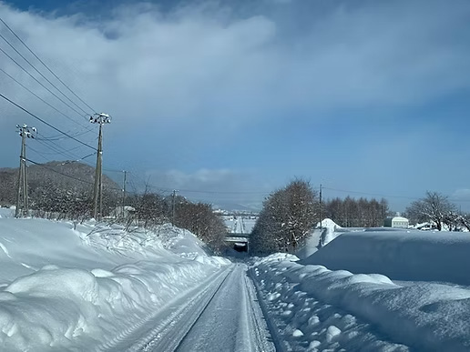 Forest Estate Furano