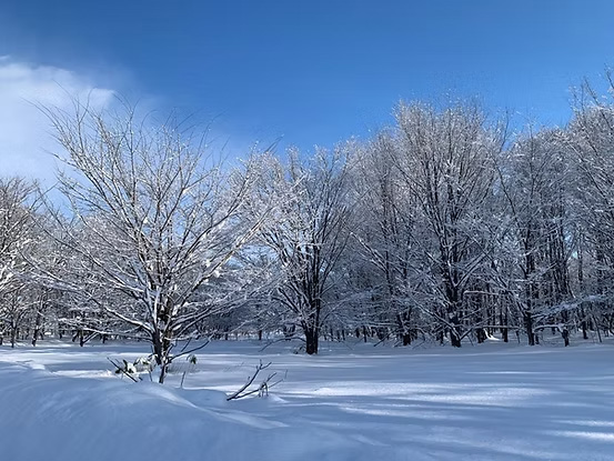 Forest Estate Furano