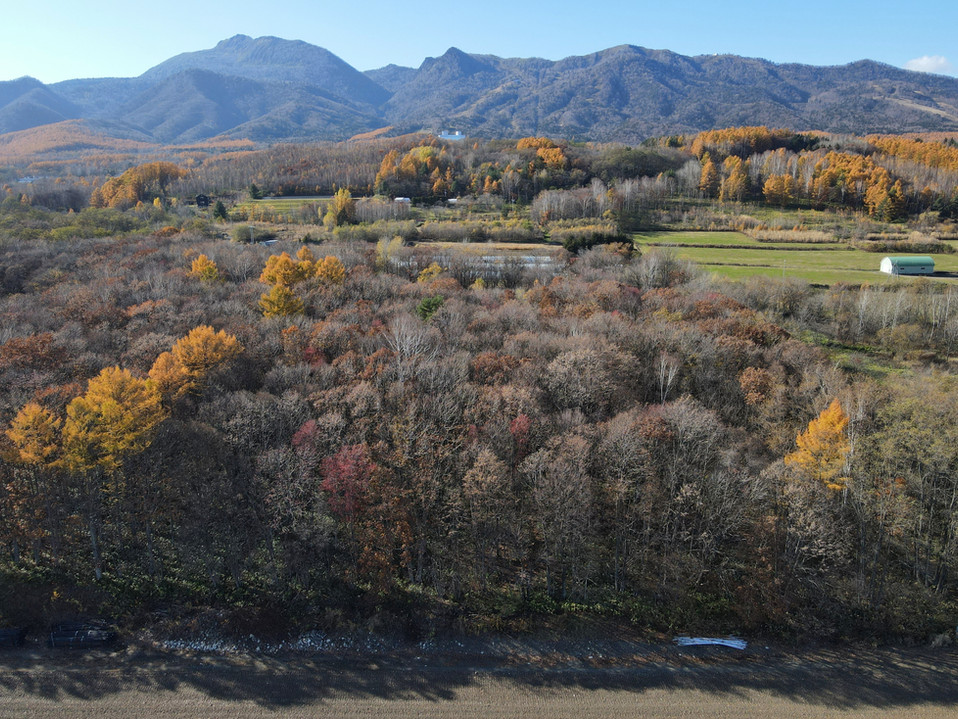Forest Estate Furano