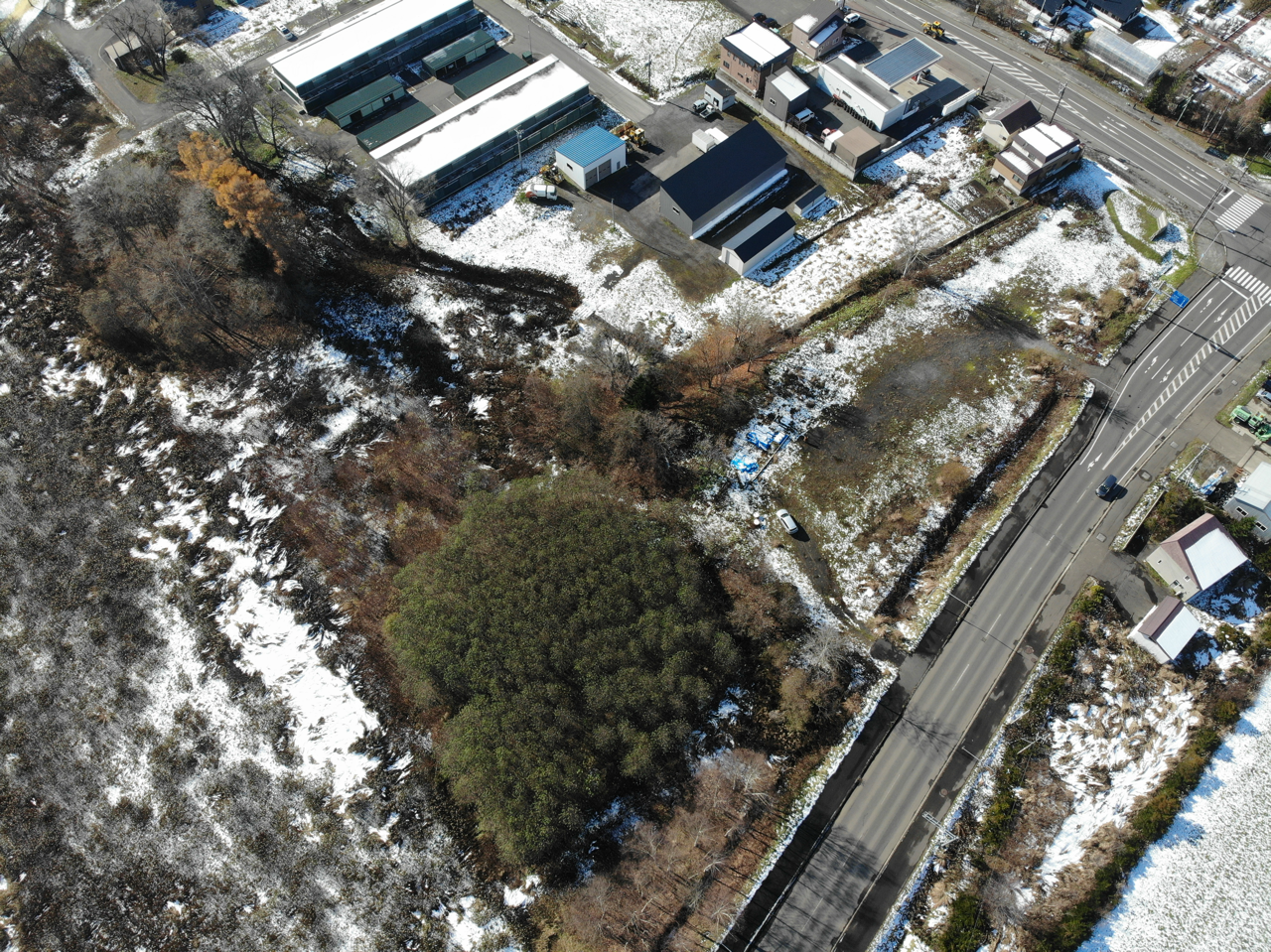 Makkari Route 97 Corner 