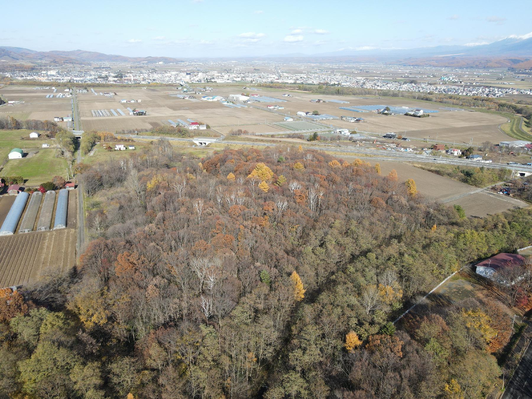 Furano Creekside Meadow – Final Phase D