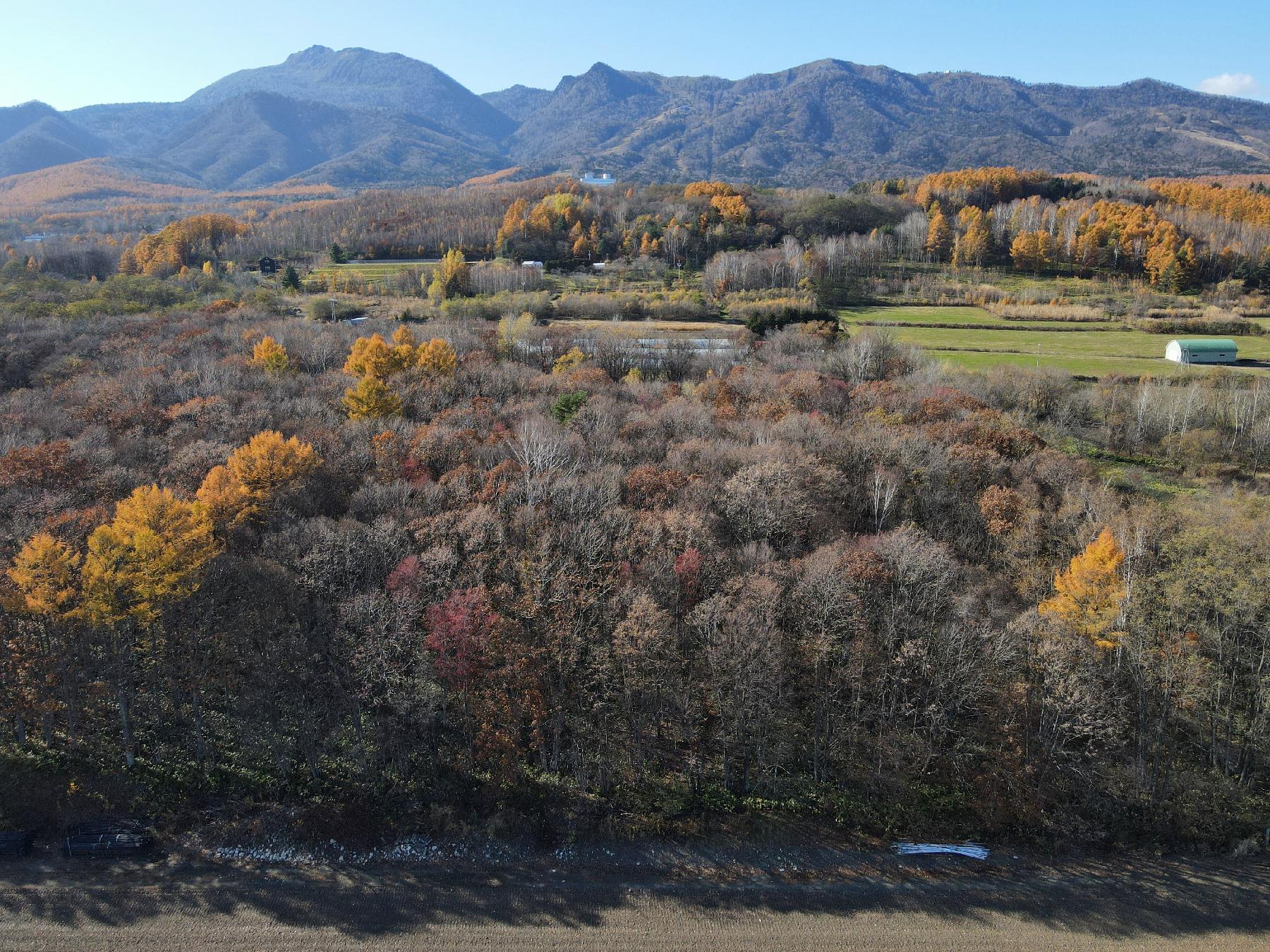 Furano Forest Manor