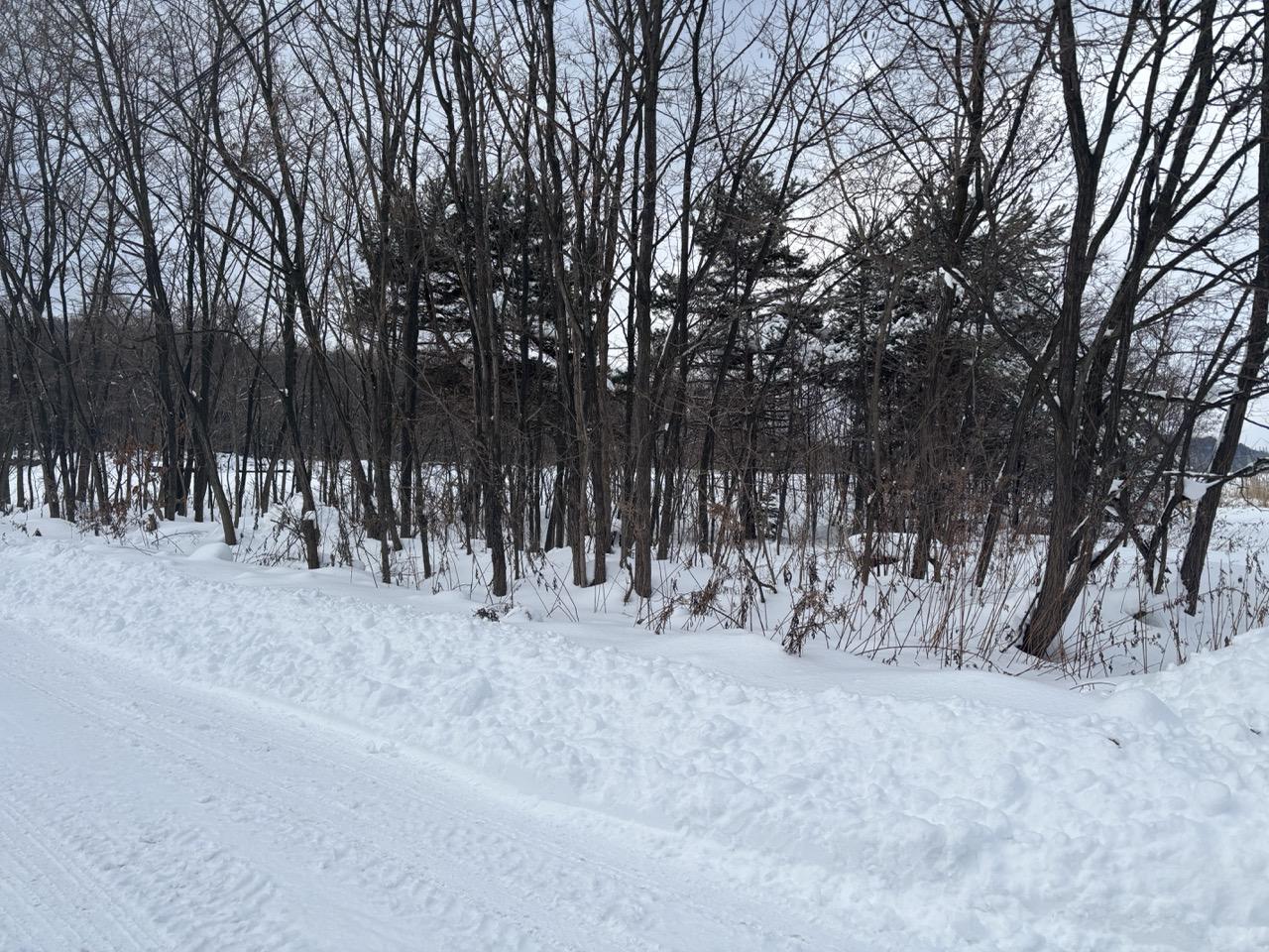 Furano Multi-Residential Lot