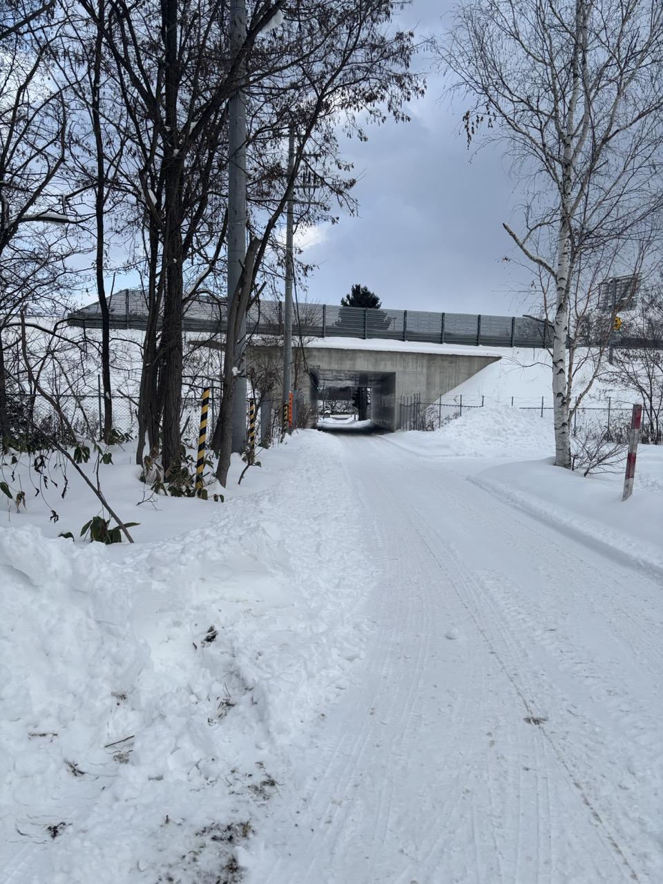 Furano Multi-Residential Lot