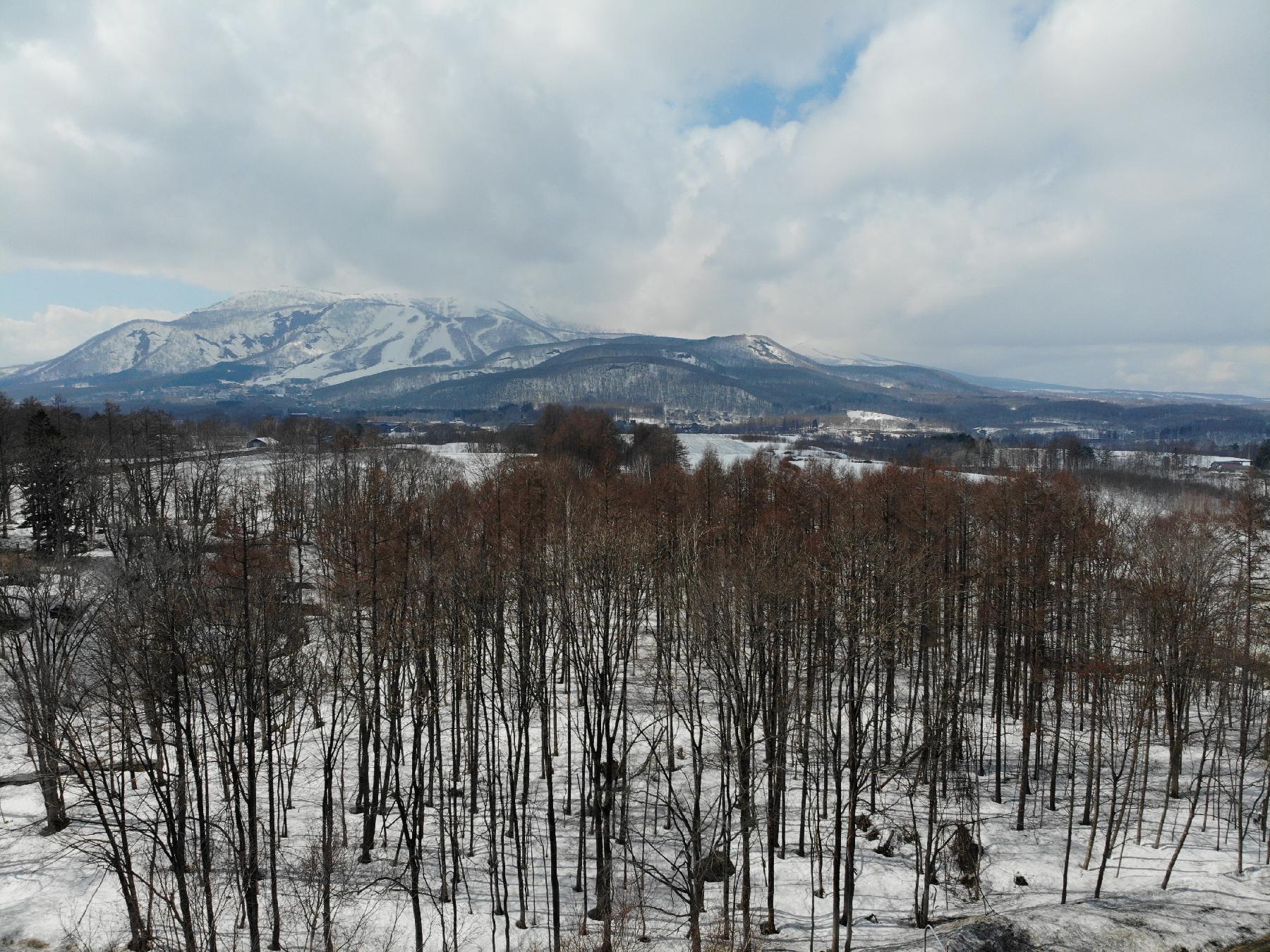 国道5号線沿いの土地