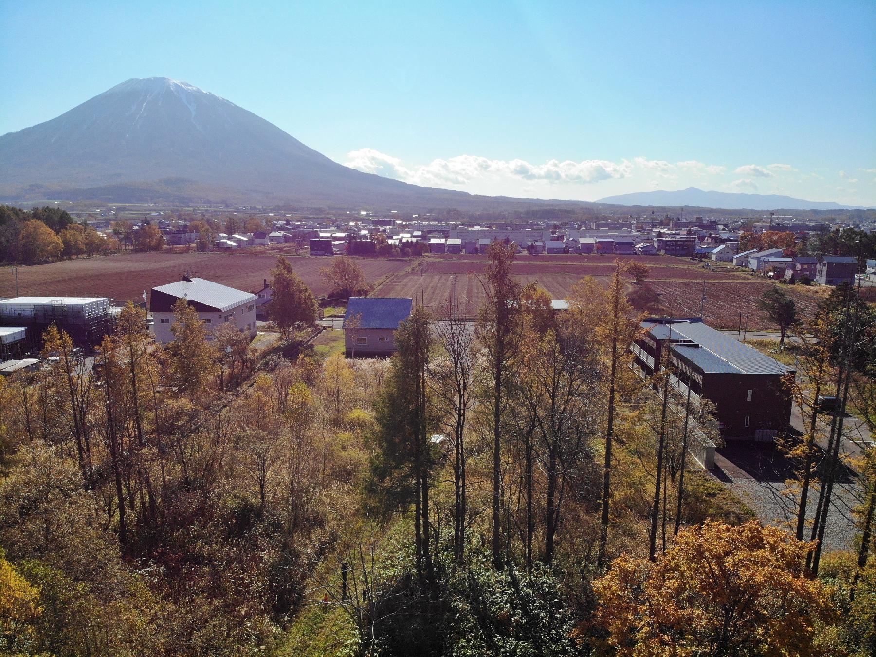 倶知安町875坪ランド