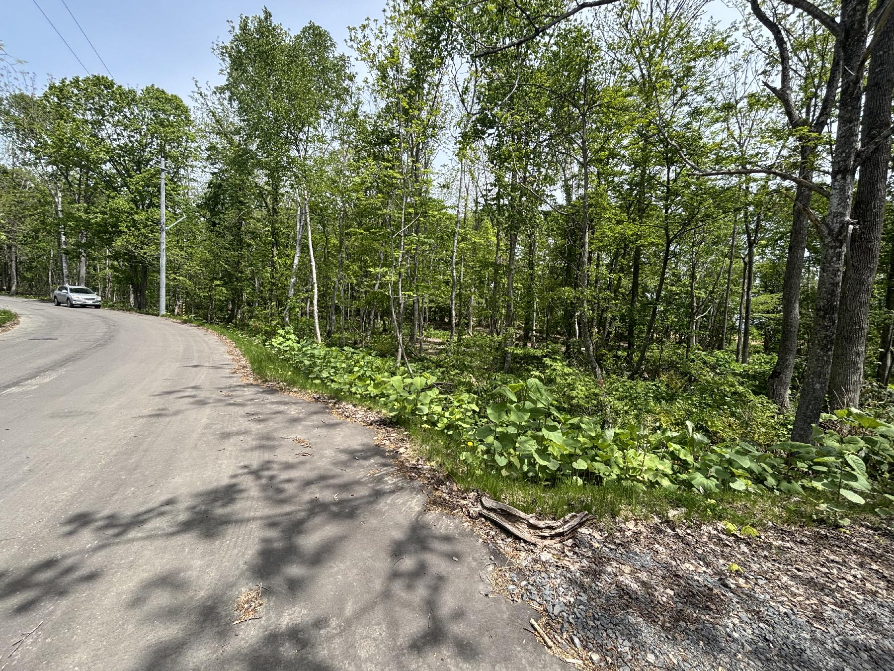 Soga Woodland Retreat
