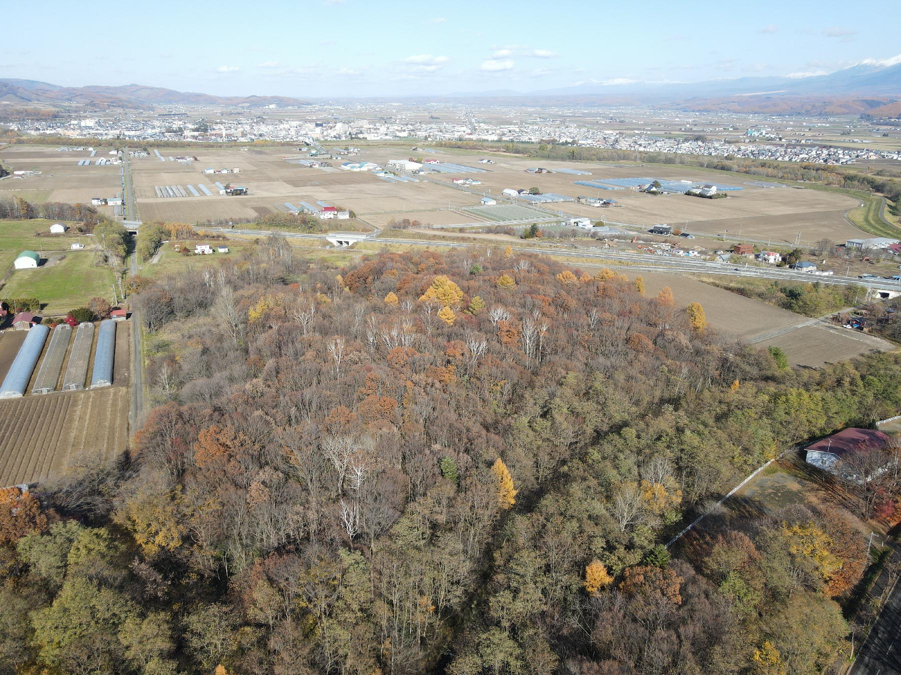 富良野クリークサイド草地区画1