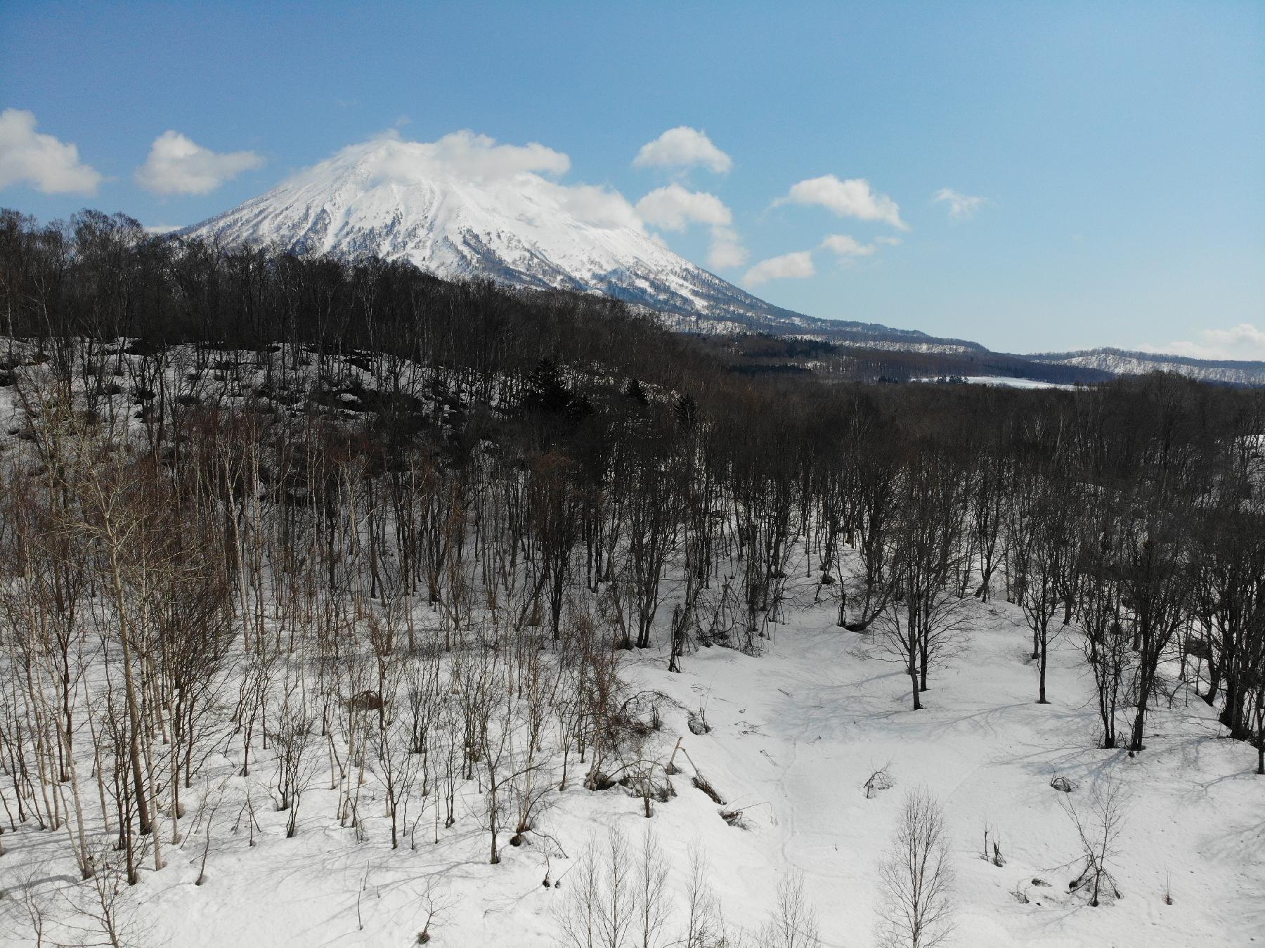 国道5号線沿いの土地